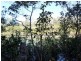 1596 Buxton Road, Buxton QLD 4660