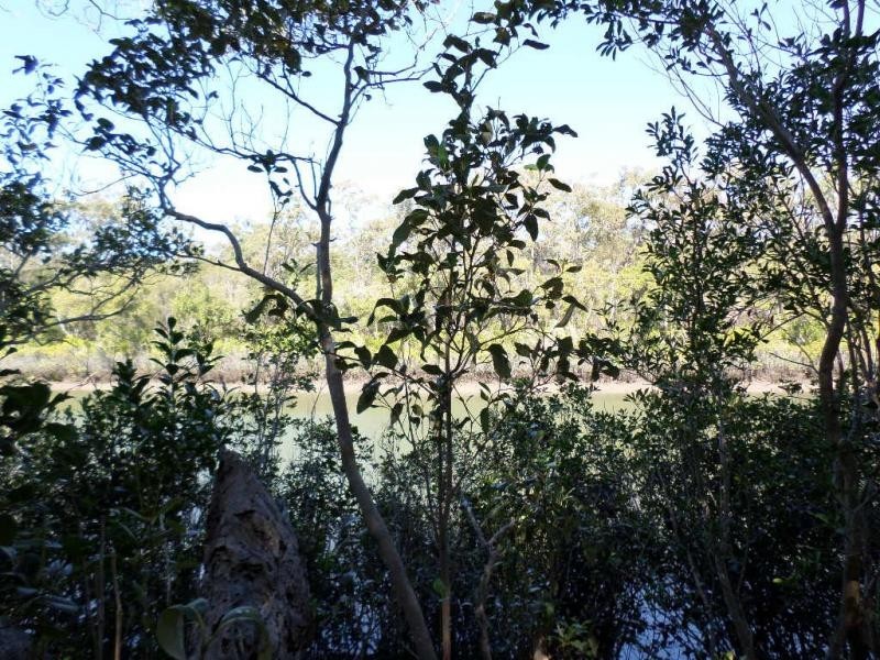 1596 Buxton Road, Buxton QLD 4660
