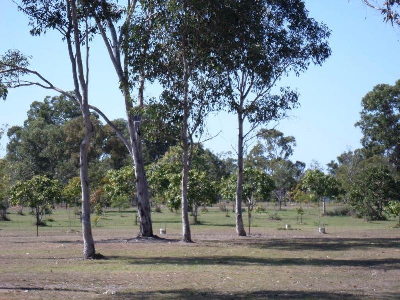 1596 Buxton Road, Buxton QLD 4660