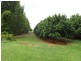 258 ATC Hall Road, Childers, North Isis QLD 4660