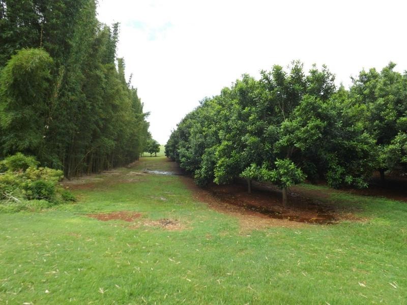 258 ATC Hall Road, Childers, North Isis QLD 4660