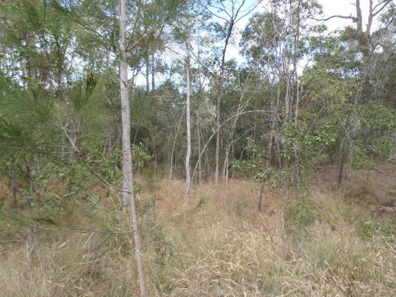 Apple Tree Creek QLD 4660