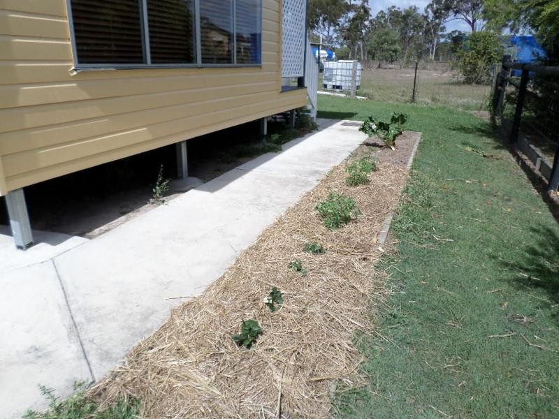 Buxton QLD 4660