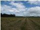430-514 Foleys Road, Childers, North Isis QLD 4660