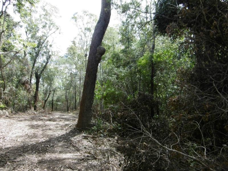430-514 Foleys Road, Childers, North Isis QLD 4660