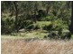 Dallarnil QLD 4621
