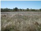 Dallarnil QLD 4621