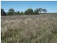Dallarnil QLD 4621
