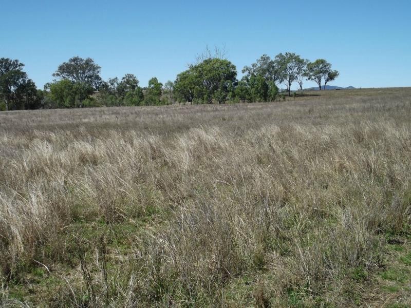 Dallarnil QLD 4621