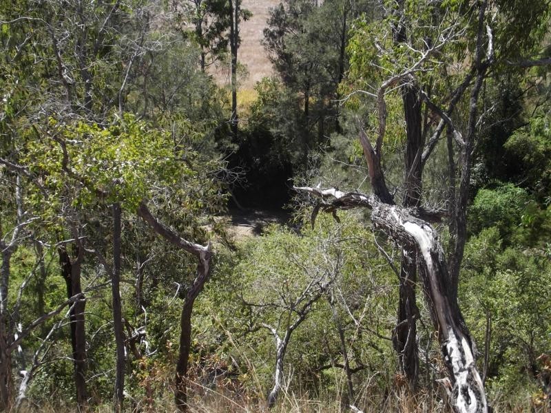 Dallarnil QLD 4621