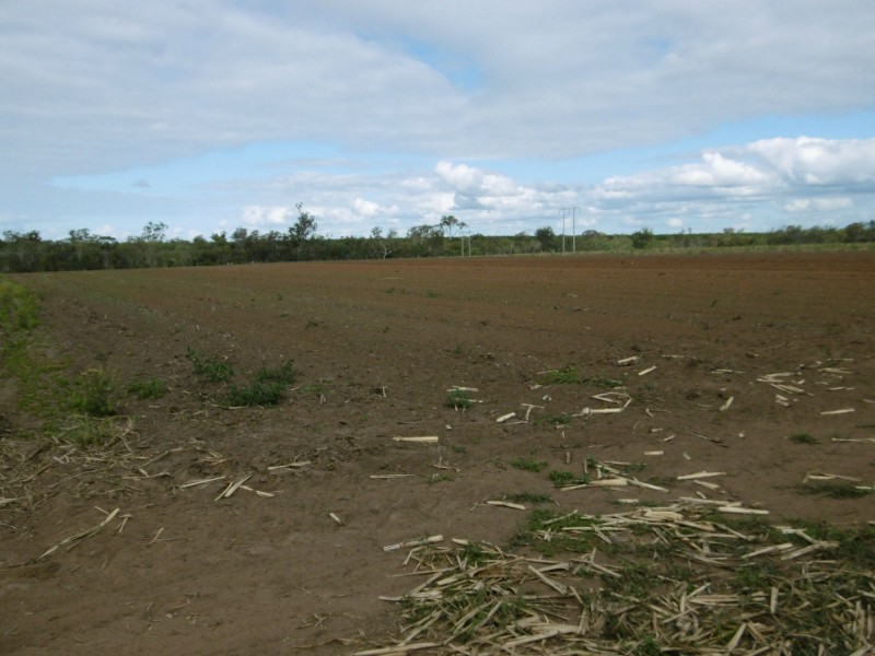 Farnsfield QLD 4660