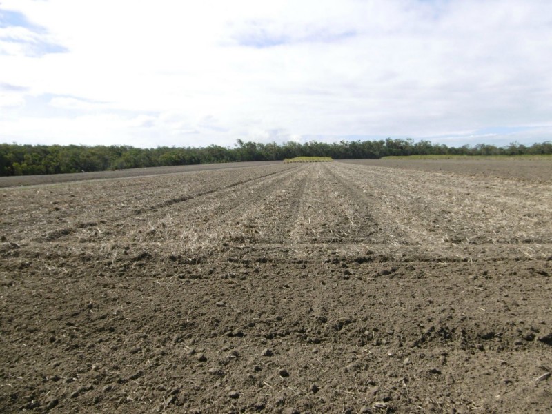 Farnsfield QLD 4660