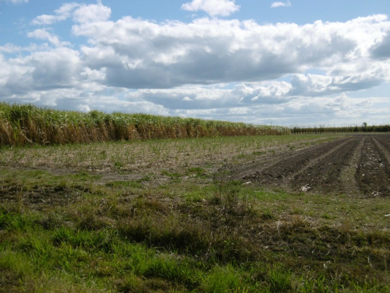 Farnsfield QLD 4660
