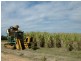 Farnsfield QLD 4660