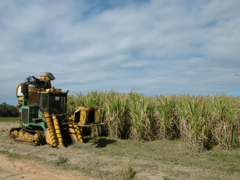Farnsfield QLD 4660