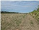 Farnsfield QLD 4660