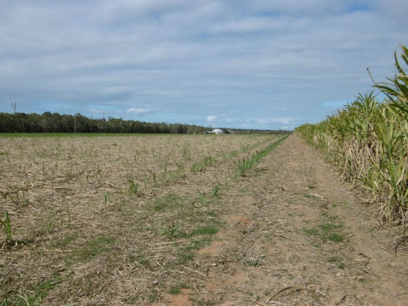 Farnsfield QLD 4660