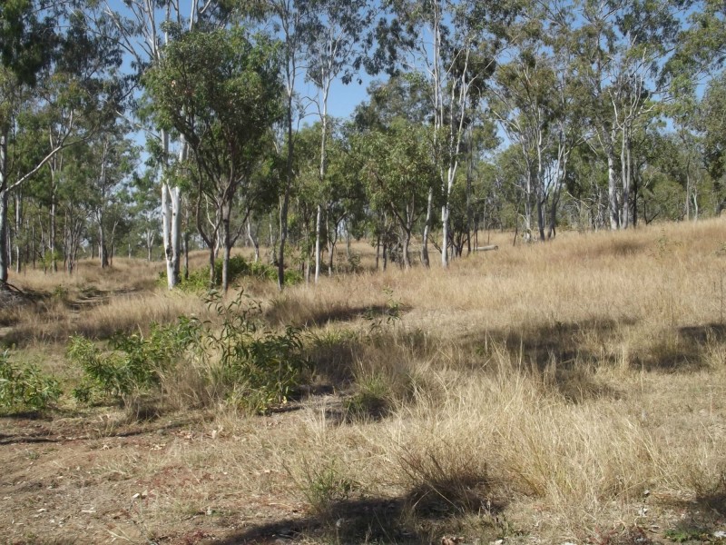 Lot 21 Walla Road, Morganville QLD 4671