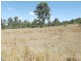 Lot 22 Walla Road, Morganville QLD 4671