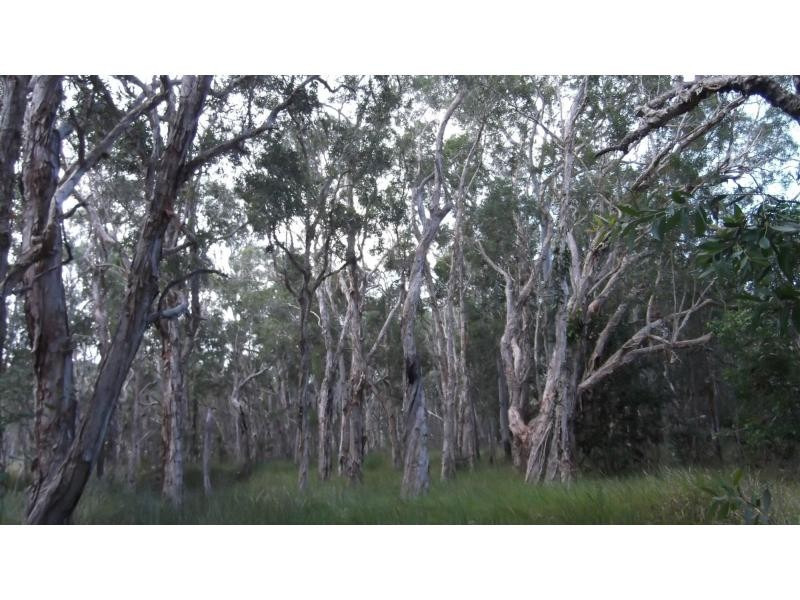 128 Lambs Road, Childers, Isis River QLD 4660