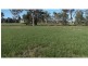 Buxton QLD 4660