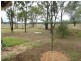 L10 Biggenden-Gooroolba Road, Degilbo QLD 4621