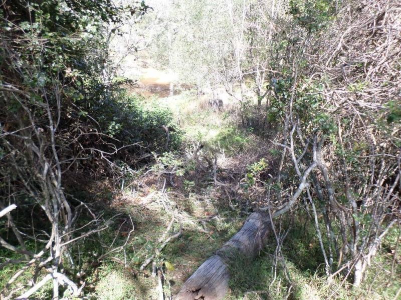 L32 Lake View Drive, Apple Tree Creek QLD 4660