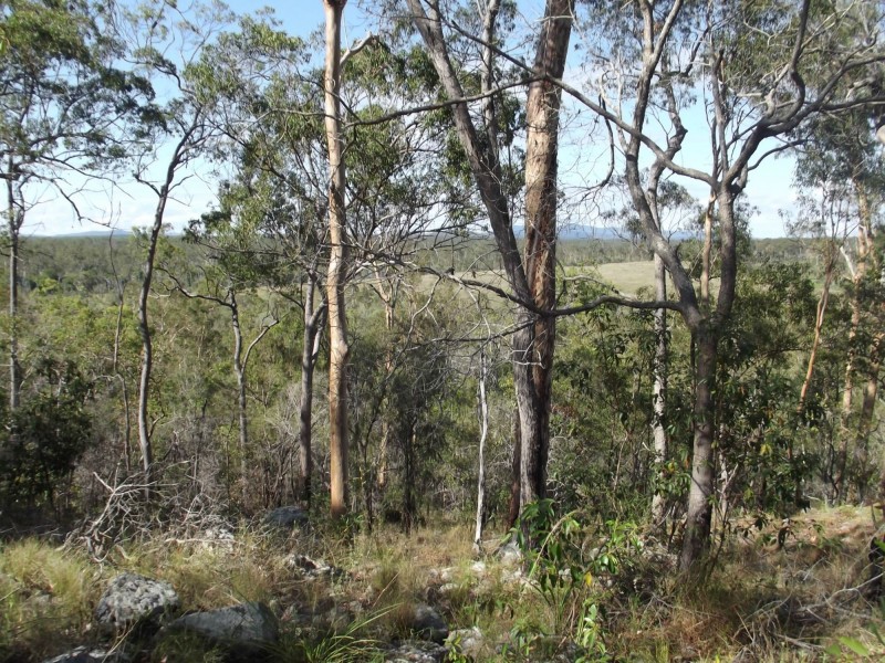 574 Rainbows Road, South Isis QLD 4660