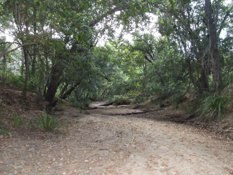 574 Rainbows Road, South Isis QLD 4660