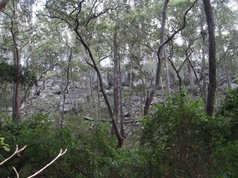 574 Rainbows Road, South Isis QLD 4660