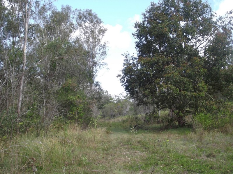 574 Rainbows Road, South Isis QLD 4660