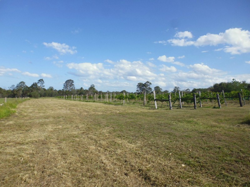 574 Rainbows Road, South Isis QLD 4660