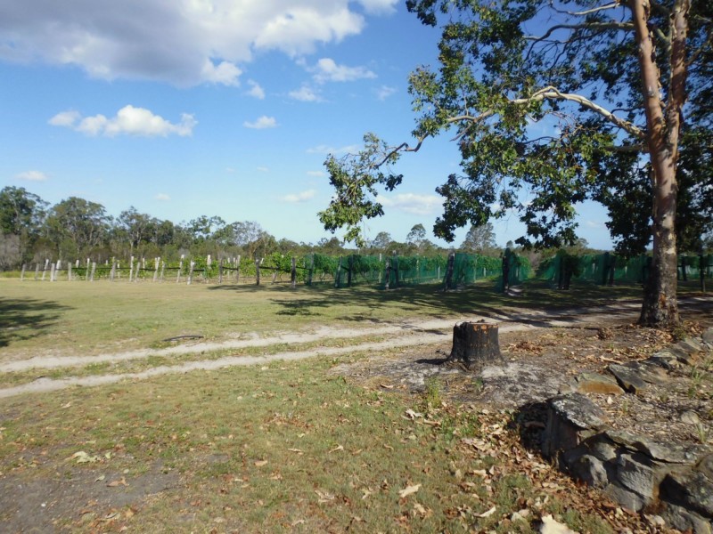 574 Rainbows Road, South Isis QLD 4660