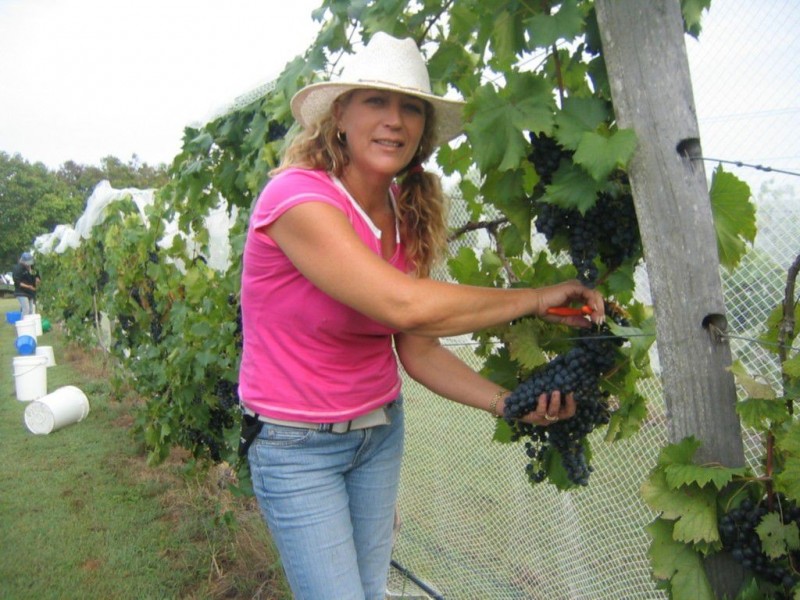 574 Rainbows Road, South Isis QLD 4660