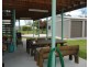 33 Travis Street, Buxton QLD 4660