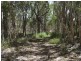 49 Hetherington Road, North Isis QLD 4660
