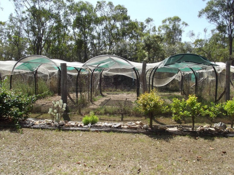49 Hetherington Road, North Isis QLD 4660