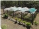 49 Hetherington Road, North Isis QLD 4660