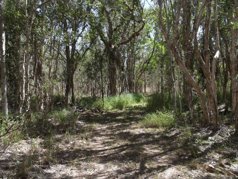49 Hetherington Road, North Isis QLD 4660