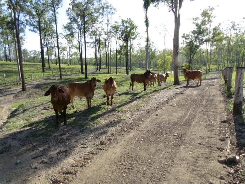 253 Hodges Road, Childers, Cordalba QLD 4660