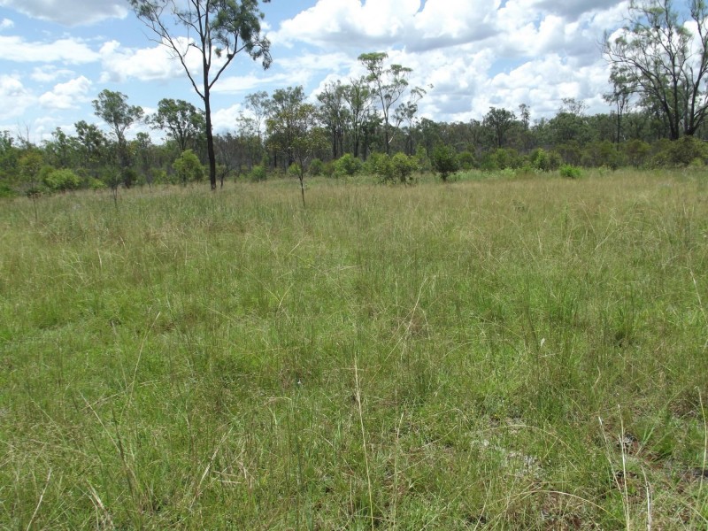 831 Ringwood Road, Booyal QLD 4671