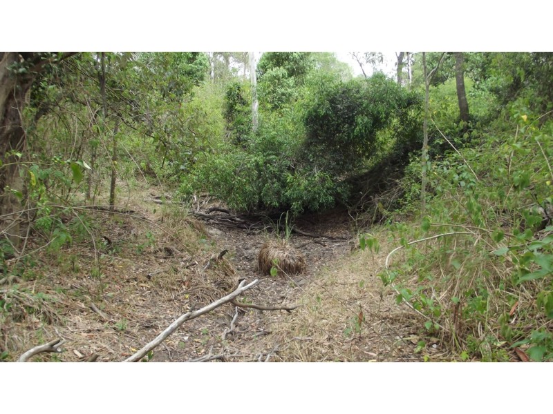 831 Ringwood Road, Booyal QLD 4671