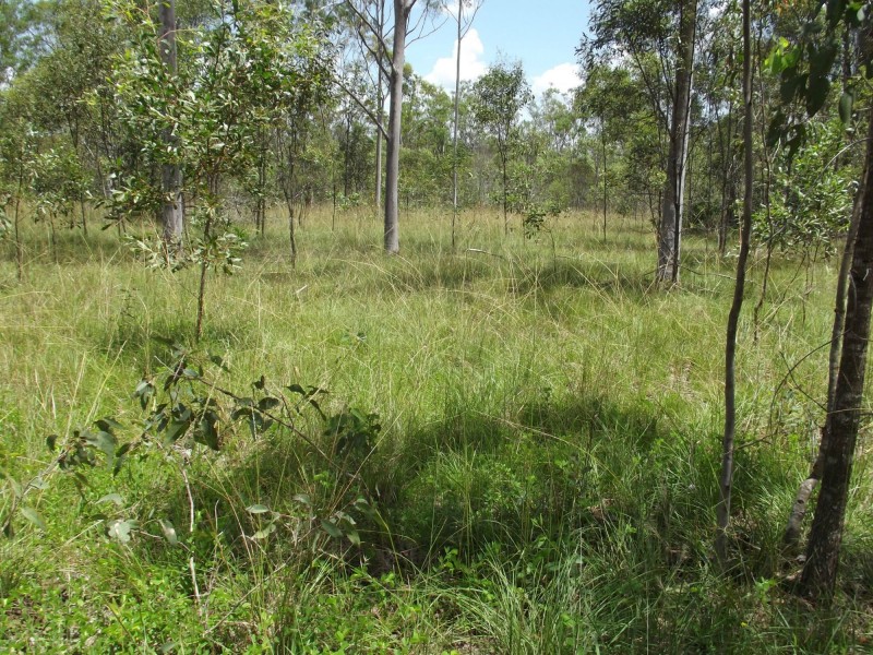 831 Ringwood Road, Booyal QLD 4671