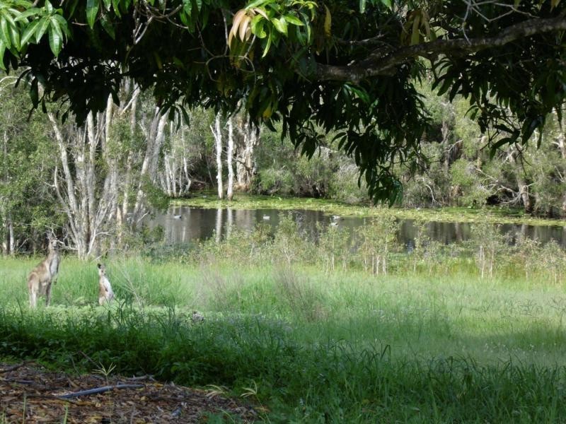 47 Voss Road, Elliott QLD 4670