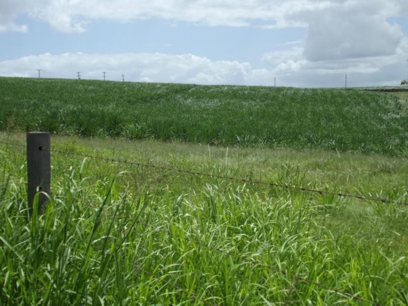 L2, 7 Cooks Road, Childers, South Isis QLD 4660