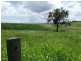 L2, 7 Cooks Road, Childers, South Isis QLD 4660