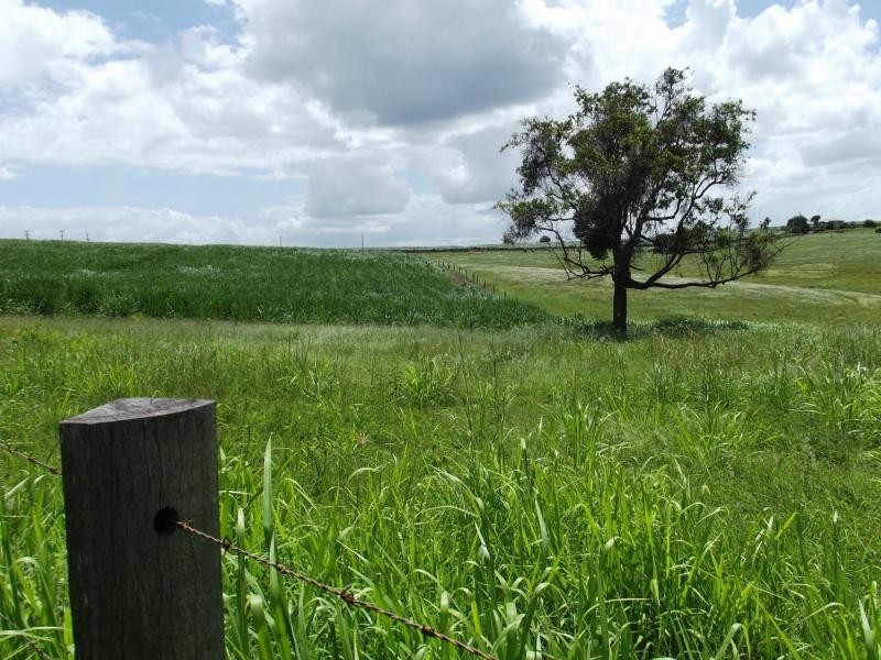 L2, 7 Cooks Road, Childers, South Isis QLD 4660
