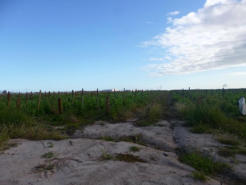 L352 Atwells Road, Chilers, Farnsfield QLD 4660