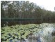 28 Ross Camp Road, Childers, Isis River QLD 4660