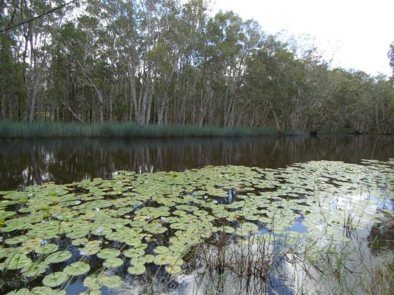 28 Ross Camp Road, Childers, Isis River QLD 4660